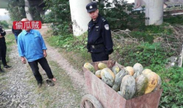 射阳吃瓜最新事件爆料视频,最新爆料视频揭露惊人内幕